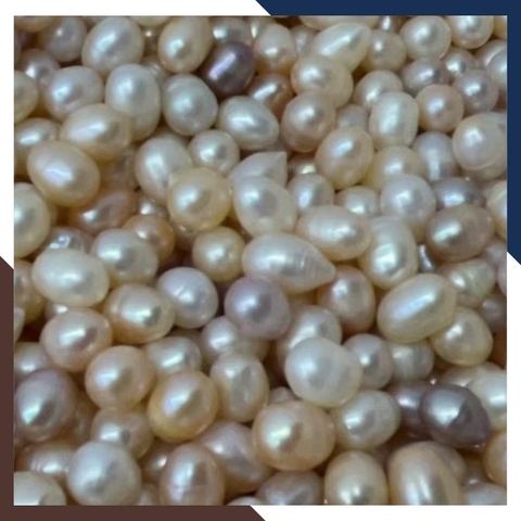 Ngọc trai thô chưa khoan lỗ loại đẹp làm trang sức mã AC4900, bán Sỉ toàn quốc