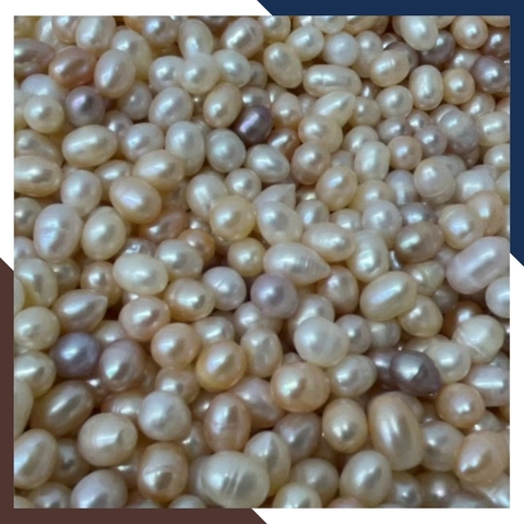 Ngọc trai thô chưa khoan lỗ loại đẹp làm trang sức mã AC4900, bán Sỉ toàn quốc