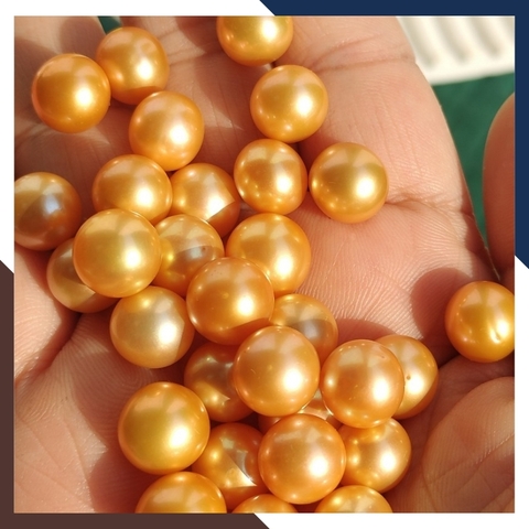 Viên ngọc trai vàng nuôi nước ngọt thật tự nhiên 9.5mm - 10mm tròn xoe, độ bóng 5A không vết sinh trưởng.
