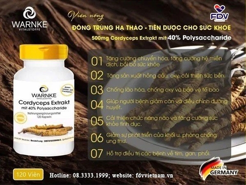 🐛 ĐÔNG TRÙNG HẠ THẢO – TIÊN DƯỢC CHO SỨC KHỎE