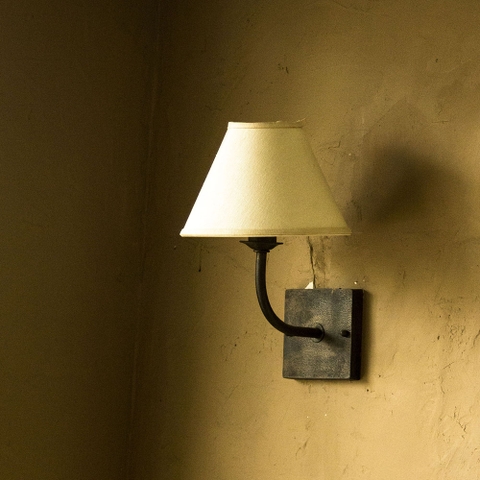 Đèn tường trong nhà ALAIDT 5010VA