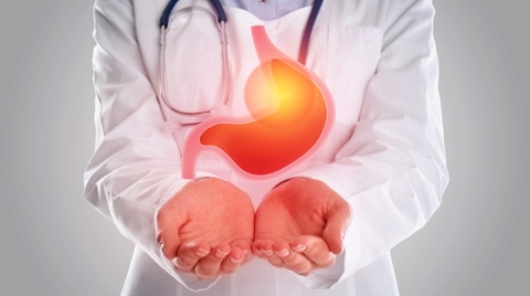 BÍ QUYẾT CHĂM SÓC DẠ DÀY – HỒI PHỤC TỰ NHIÊN TỪ NHỮNG ĐIỀU NHỎ NHẤT