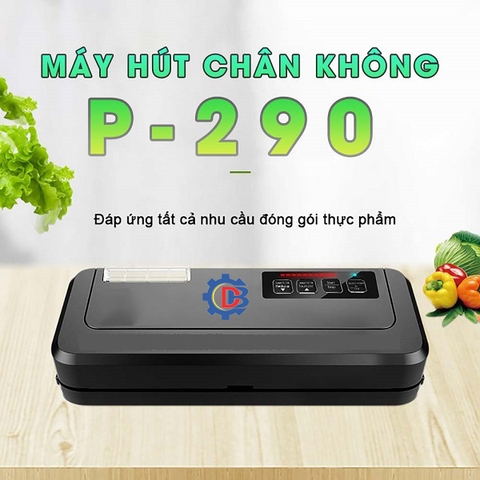 Giới thiệu Máy hút chân không gia đình P290