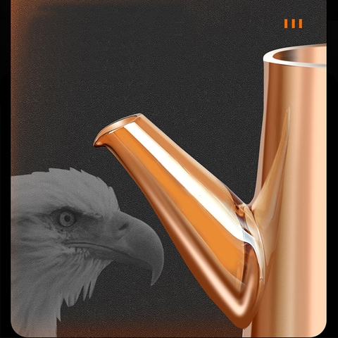 Bình thuỷ tinh đựng dầu ăn, giấm, nước tương KACHEEG DYSA cao cấp