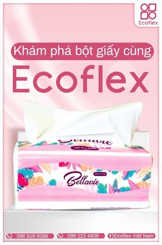 CÙNG ECOFLEX TÌM HIỂU VỀ CÁC LOẠI BỘT GIẤY HIỆN NAY 🧻