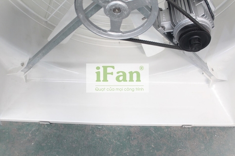 Quạt thông gió dạng loa iFan-C