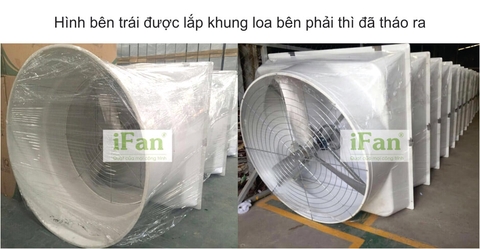Quạt thông gió dạng loa SMC – Giải pháp nâng cao hiệu quả chăn nuôi