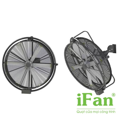 Quạt treo tường công suất lớn iFan iWYJ-Q có đảo gió