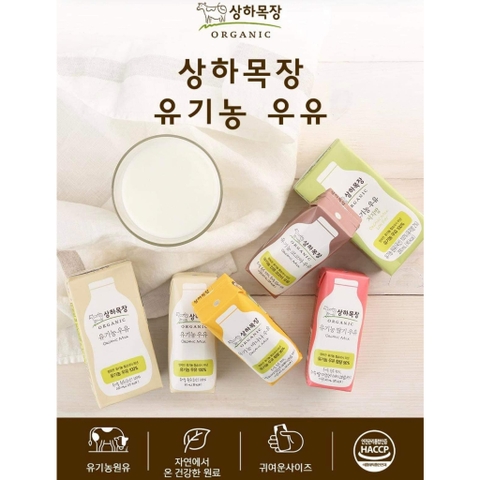 Sữa Hữu Cơ Maeil 125 ml  ( Lốc 4 Hộp ) Vị Dâu