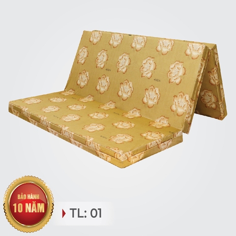 ĐỆM ESEUN TINH KHIẾT PLUS MẪU TL01