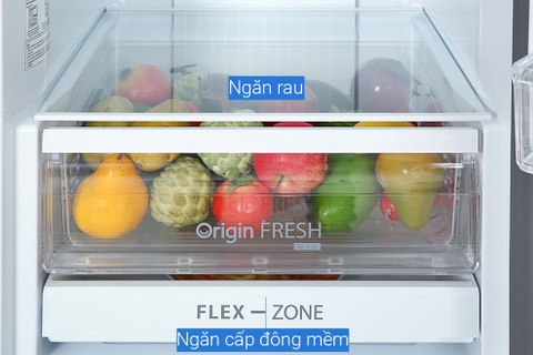 Tủ lạnh Toshiba GR-RB405WE-PMV(06)-MG 322 lít Inverter