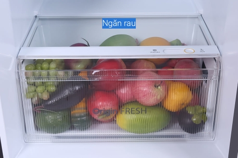 Tủ lạnh Toshiba GR-RT435WE-PMV(06)-MG 337 lít Inverter