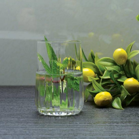 Ly thủy tinh Pasabahce NOVA WATER TUMBLER 135ml