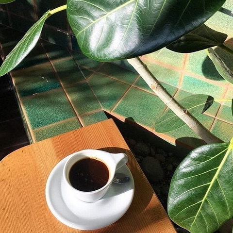 Bộ đĩa và Ly sứ NotNeutral White LINO Sm Latte Cup & Saucer, 240ml