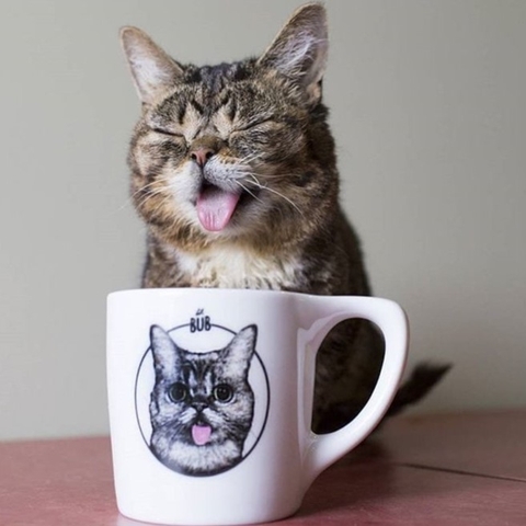 Ly sứ NotNeutral White LINO 10oz Coffee Mug, 300ml