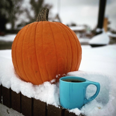 Ly sứ NotNeutral Ozone Blue LINO 10oz Coffee Mug, 300ml