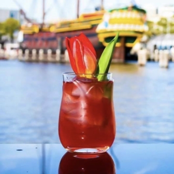 Ly thủy tinh Libbey Tulip Tumbler 250ml