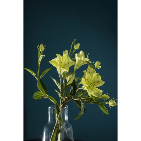 Hoa giả bằng vải - Lys nhỏ màu xanh