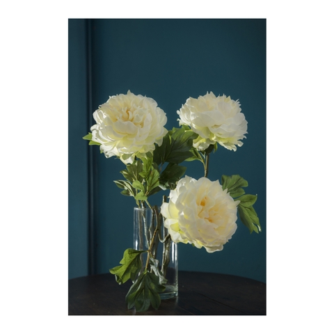 Hoa vải - Artificial flowers - Hoa mẫu đơn màu trắng