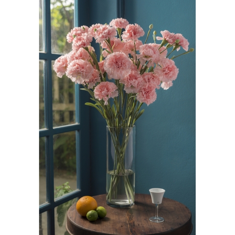 Hoa vải - Artificial flowers - Cẩm chướng màu hồng nhạt