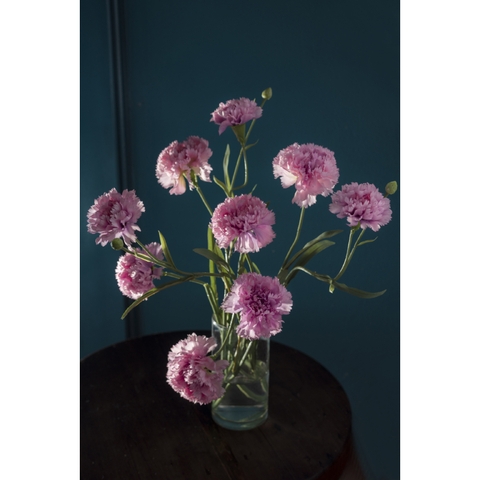Hoa vải - Artificial flowers - Cẩm chướng màu tím nhạt