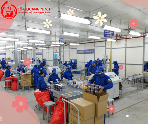 Ngày Cá Tháng Tư ( Ngày 1/4) - Ngày nói dối nhưng pháo hoa là thật - Giàn Phun Viên 2025 chính hãng BQP