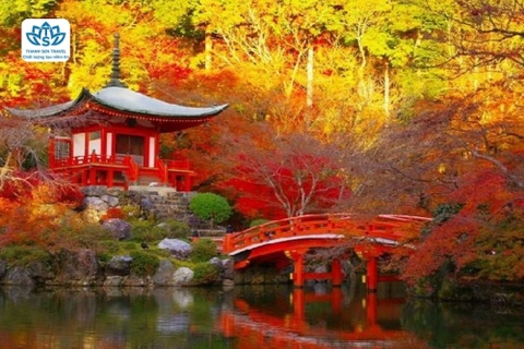 DU LỊCH NHẬT BẢN HÀNH TRÌNH VÀNG MÙA THU 2025