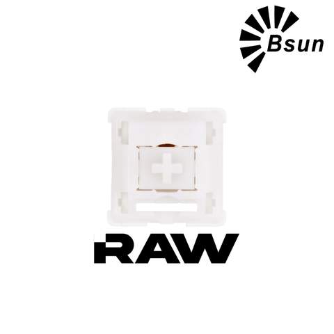 Bsun Raw Switch