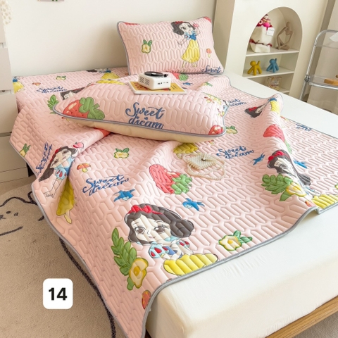 Chiếu điều hoà-TN9.3003