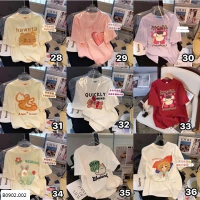 Áo phong-R13.0902.25