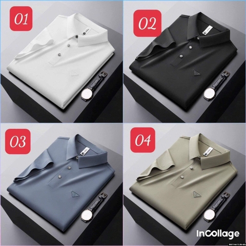 Áo polo nam cao cấp-R4.1705