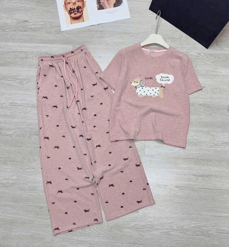 Sét bộ-R28.2.0504.25