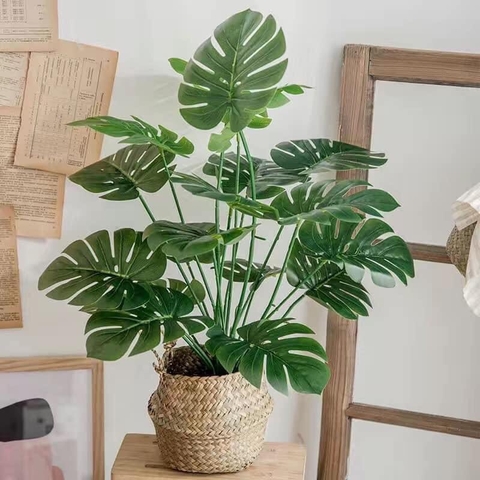 Chậu cây lá-TN1.2110