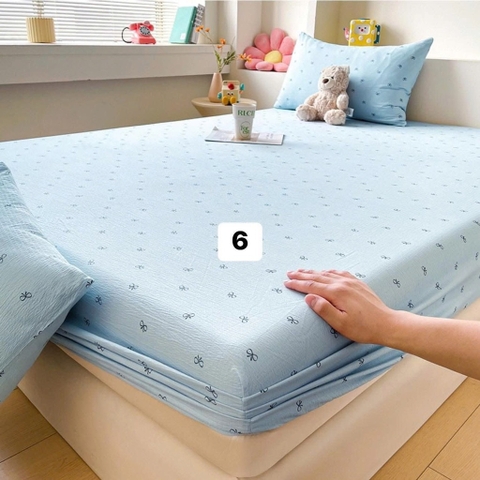 Sét ga gối-R5.1706.25