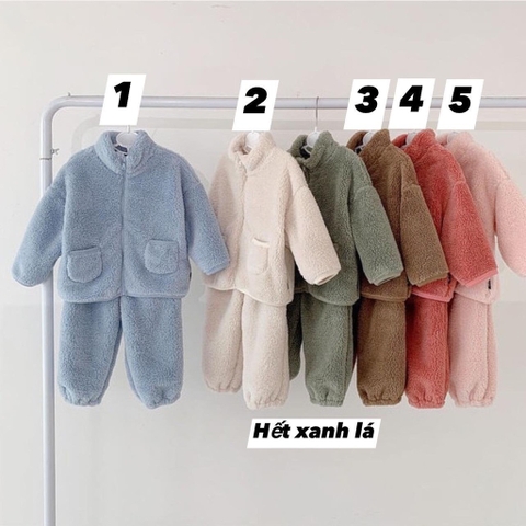 Bộ lông cừu-Tn12.0201