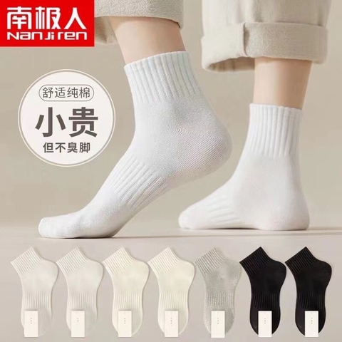 Set tất cao cổ-TN1.1208