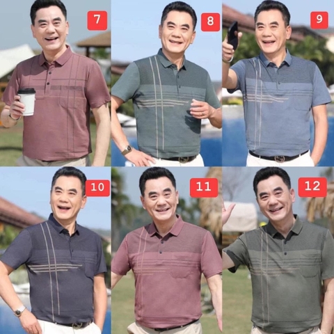 Áo polo trung niên-R16.2704