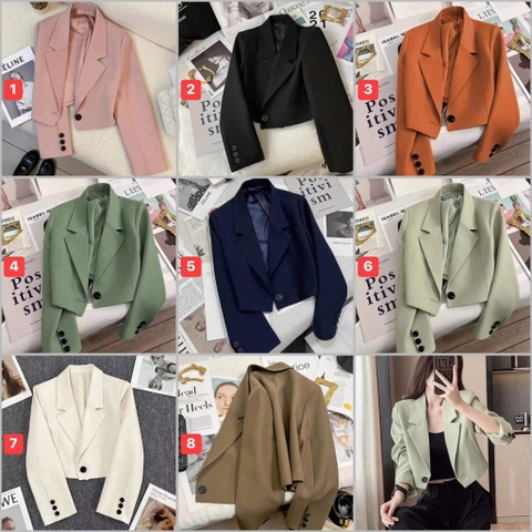 Blazer lửng-R31.2402.25