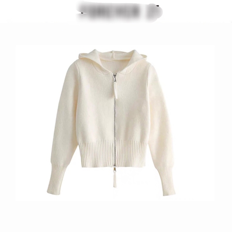 Áo len F21-TN2.1407