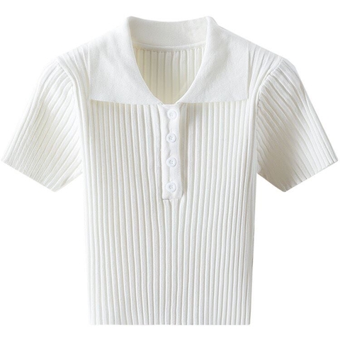 Áo polo gân-R10.2606