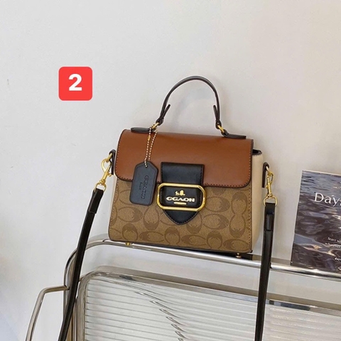 Túi xách-R15.0201.25