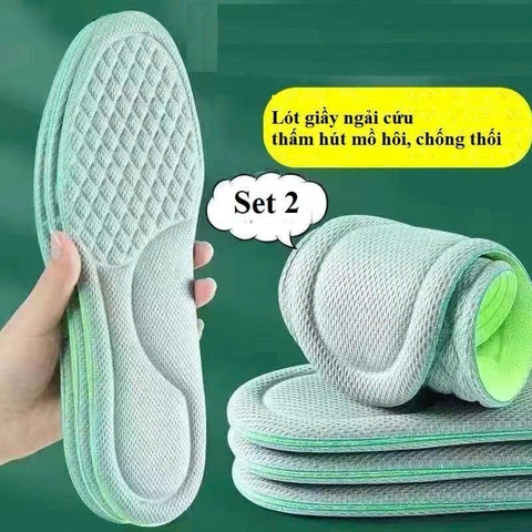 Lót giầy-R8.2303.25