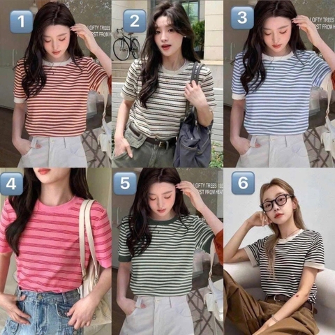 Áo cotton-R7.0304.25