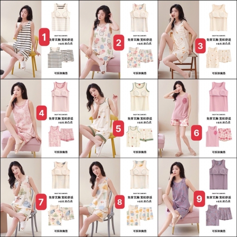 Bộ sát lách-R29.2604