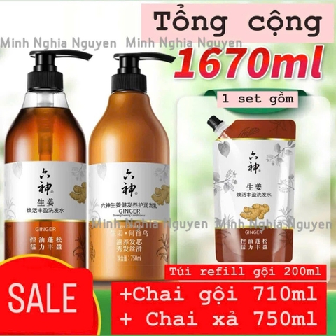 Sét gội xả gừng-R19.0802.25