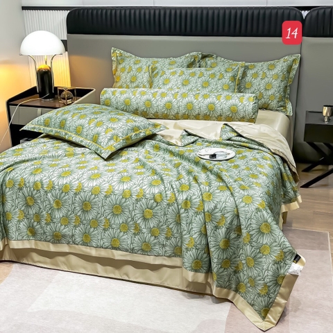 Bộ chăn ga lụa thái-R22.1107