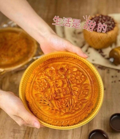 Bánh nướng trung thu-Rbndl1009