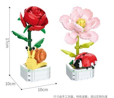 Set lego-R27.195.24