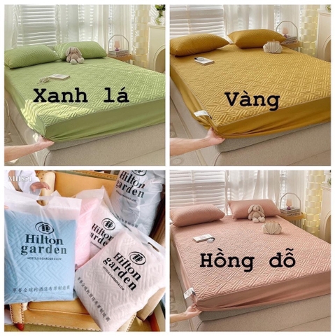 Ga trần-Rgght0911