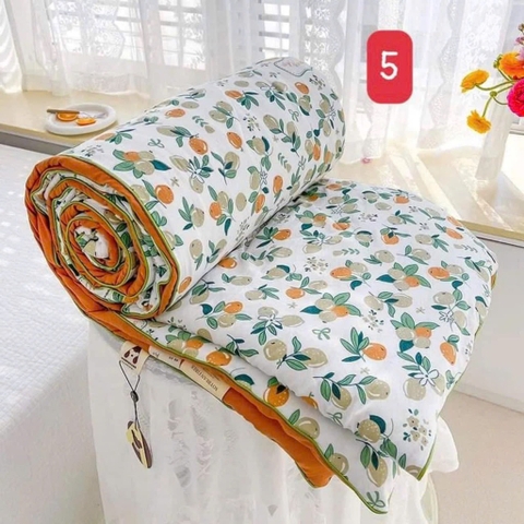 Chăn đũi-R24.0903.25